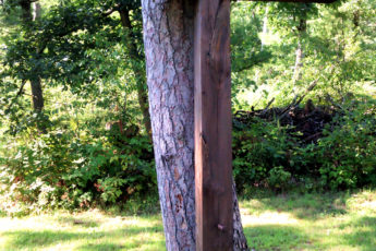 Eyewitnesses to Holy Week