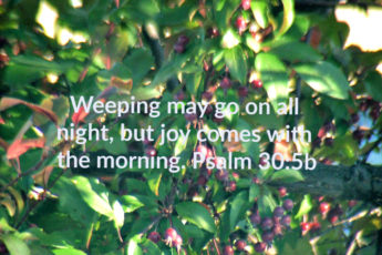 Mental Health and Chronic Pain