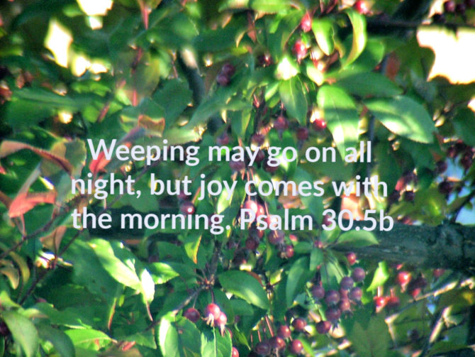 Mental Health and Chronic Pain