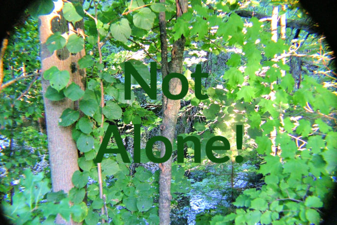 Broken Relationships