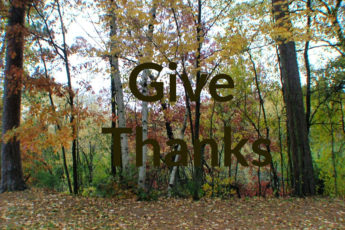 Give Thanks