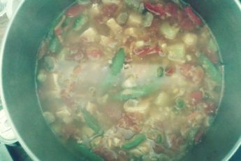 Tomato and Chicken Soup