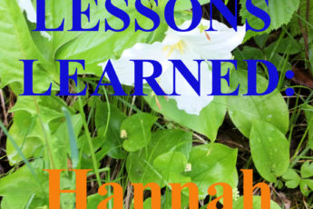 Lessons Learned: Hannah