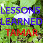Lessons Learned: Tamar