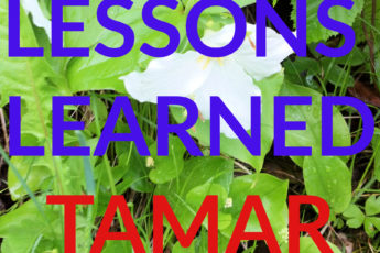 Lessons Learned: Tamar