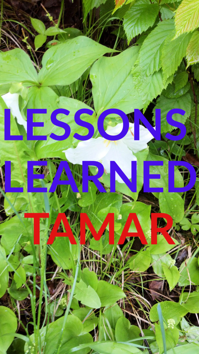 Lessons Learned: Tamar
