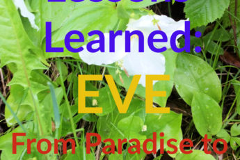 Lessons Learned: Eve