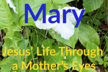 Mary: Jesus' life through a mother's eyes