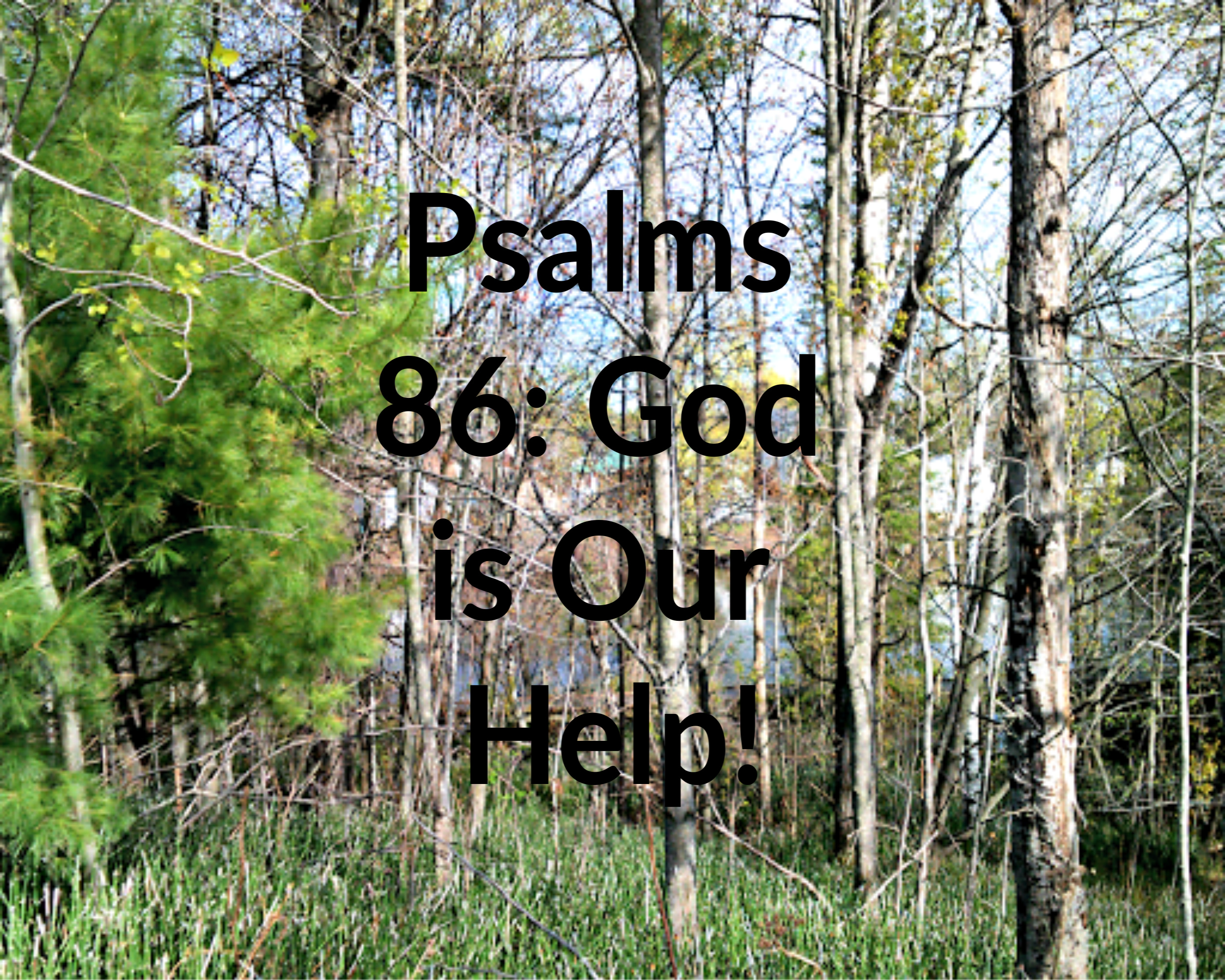 psalms-86-god-is-our-help-northwoodsgirl-sblogging