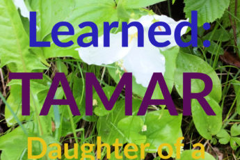 Tamar, Daughter of a King