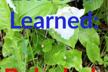 Lessons Learned: Rebekah