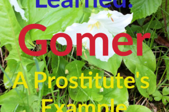 Lessons Learned: Gomer