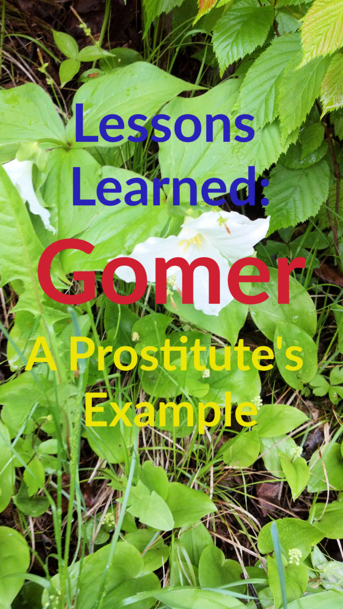 Lessons Learned: Gomer