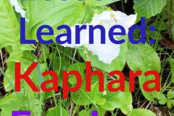 lessons Learned: Kaphara