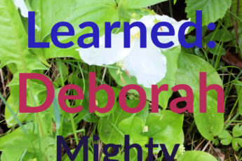 Lessons Learned: Deborah