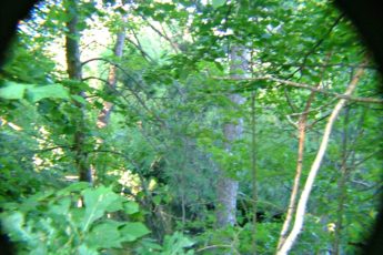 Second Chances: John Mark