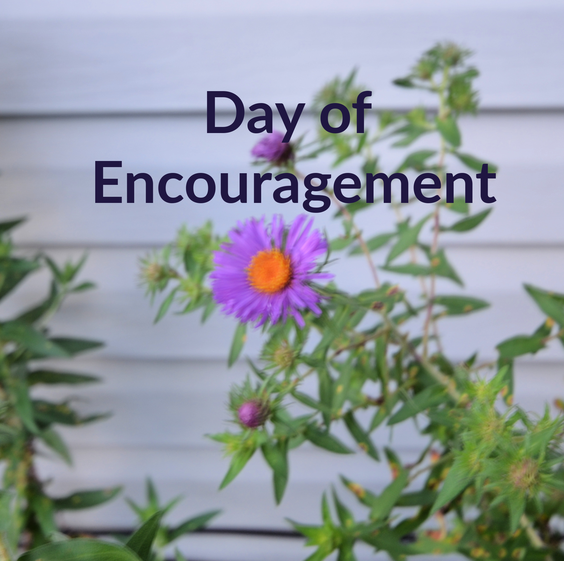 National Day of Encouragement Northwoodsgirl'sBlogging