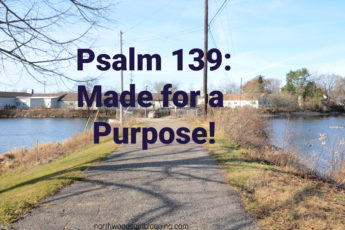 Psalms 139: Made for a Purpose