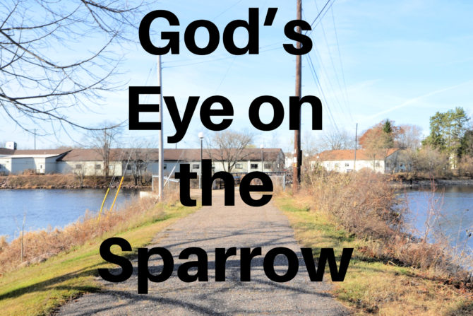 God’s Eye on the Sparrow