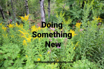 God is Doing Something New