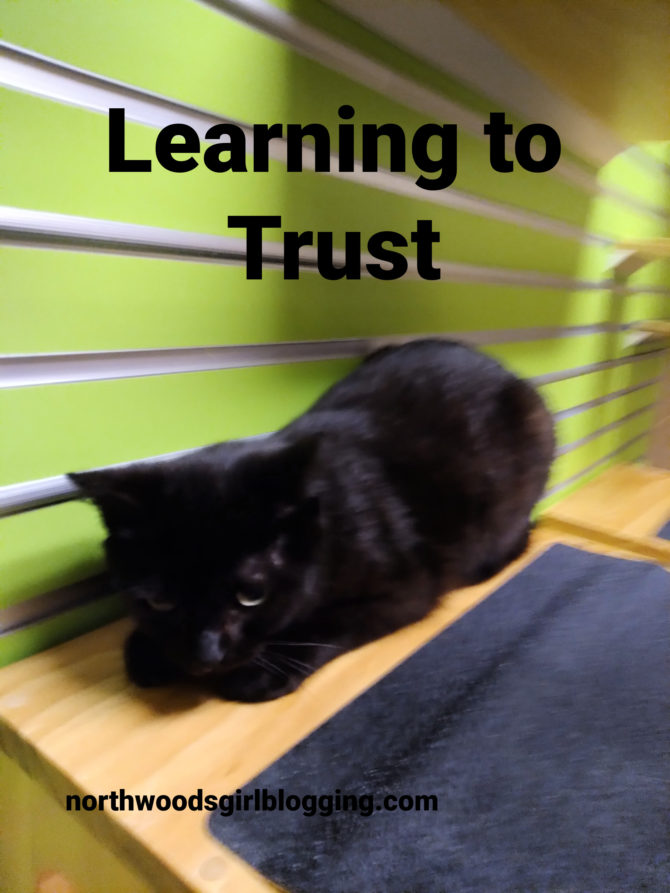 Learning to trust