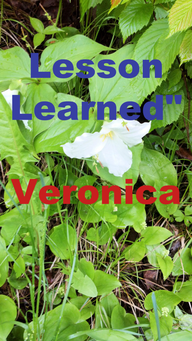 Story of Veronica
