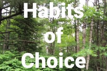 Choose Godly Habits