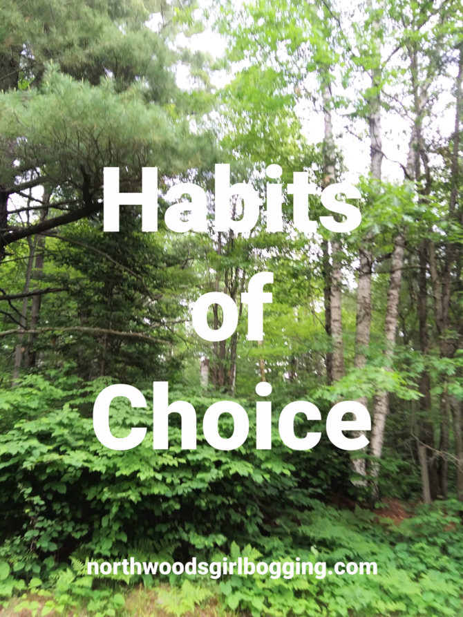 Choose Godly Habits