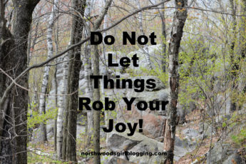Things Rob Joy