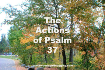 Actions in Psalm 37
